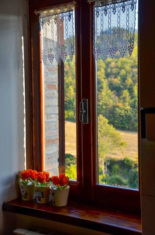 Agriturismo Cailuca Pietralunga  Room photo